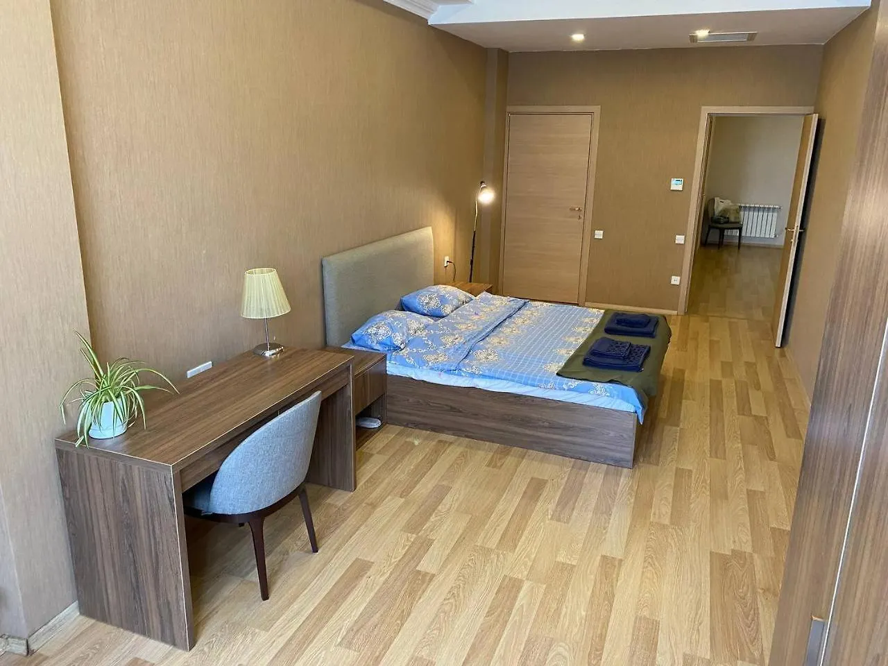 One Bedroom Heydar Aliyev Building 9-8 Baku Apartment